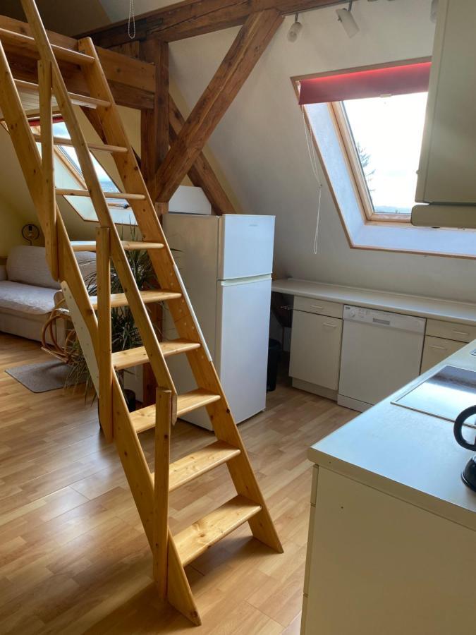 Helles Und Charmantes Loft Mit Herrlichem Blick Drezda Kültér fotó