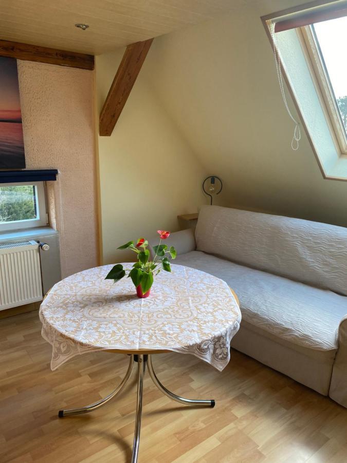 Helles Und Charmantes Loft Mit Herrlichem Blick Drezda Kültér fotó