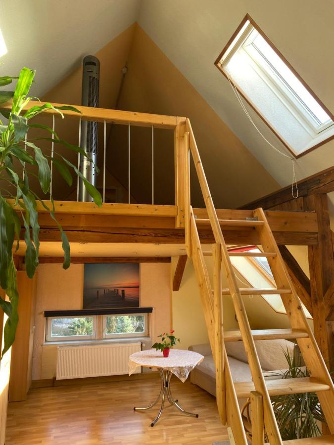 Helles Und Charmantes Loft Mit Herrlichem Blick Drezda Kültér fotó